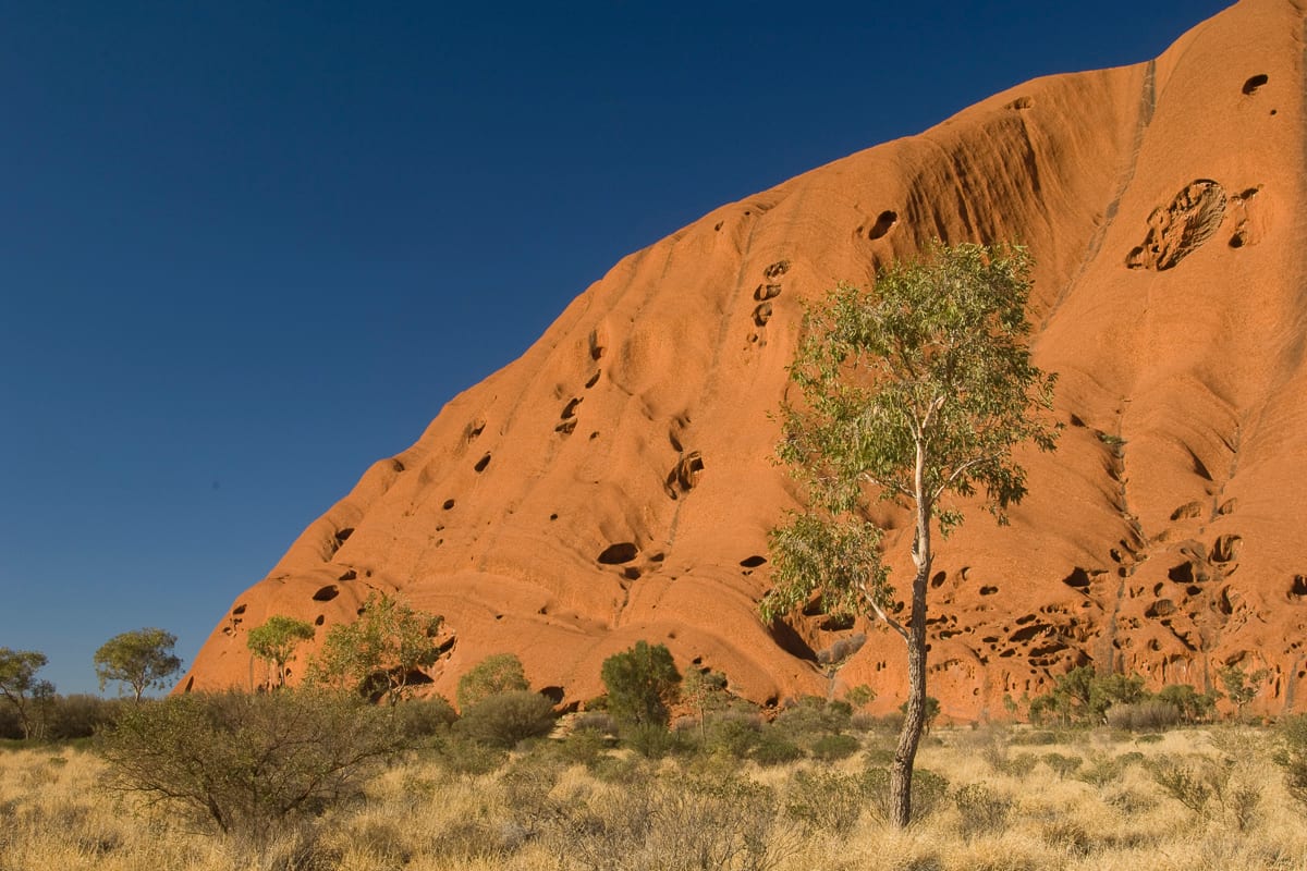 Uluru #15
