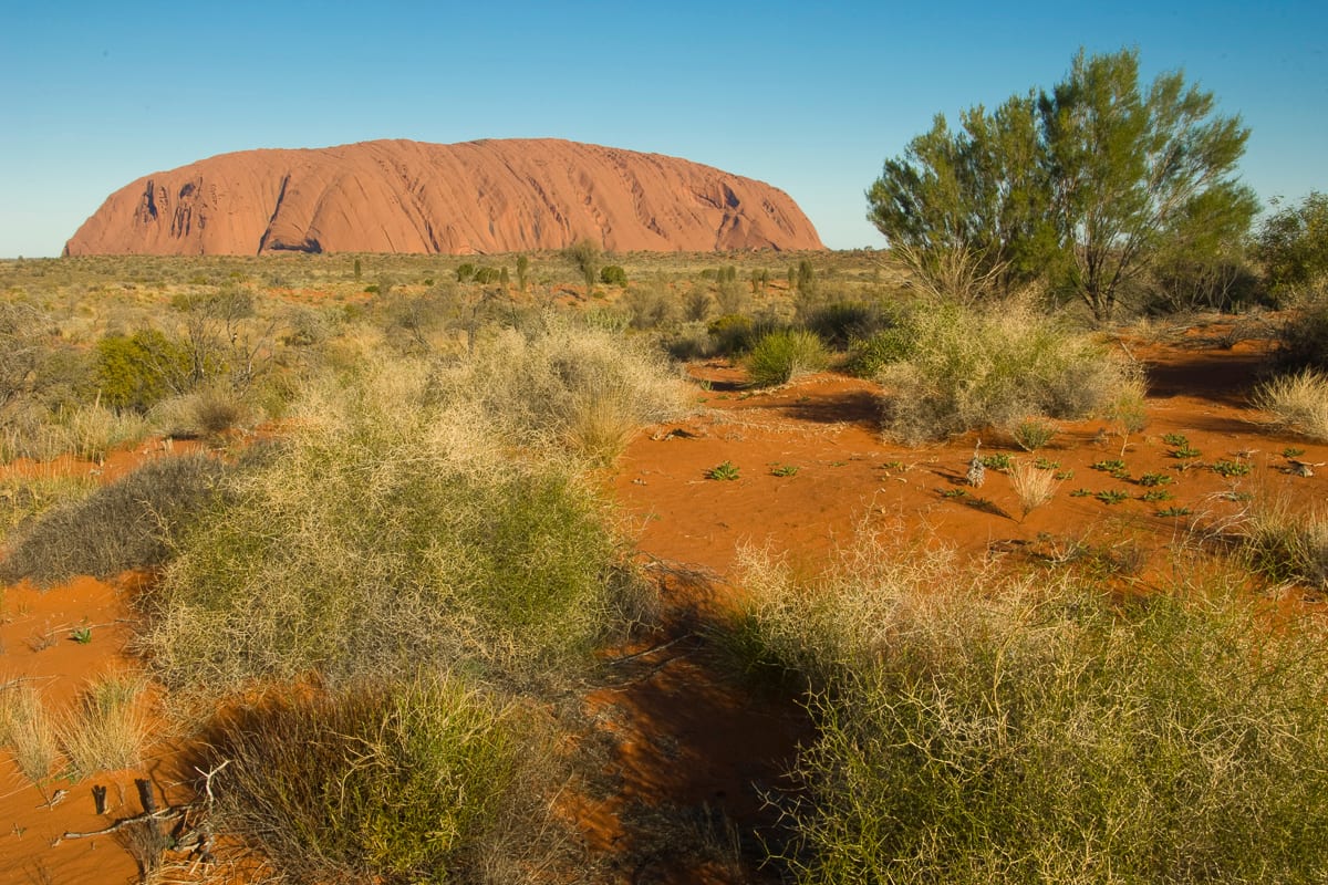 Uluru #27