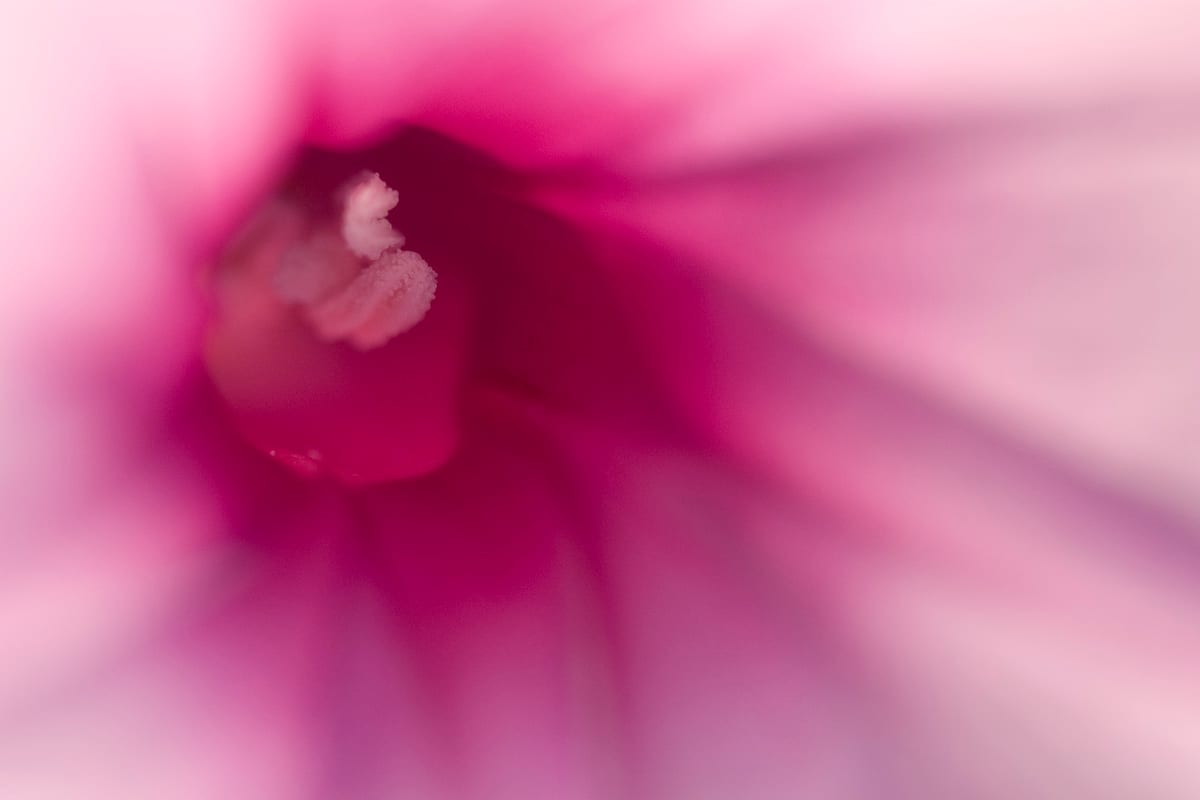 fulton_050529_2709