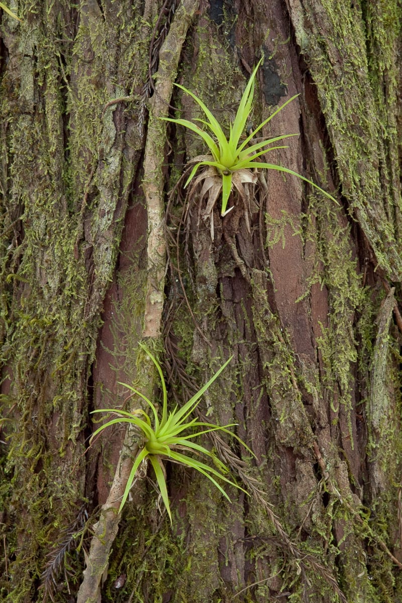 fulton_050312_2485